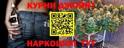 гашик Нарткала