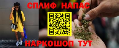 гашик Нарткала