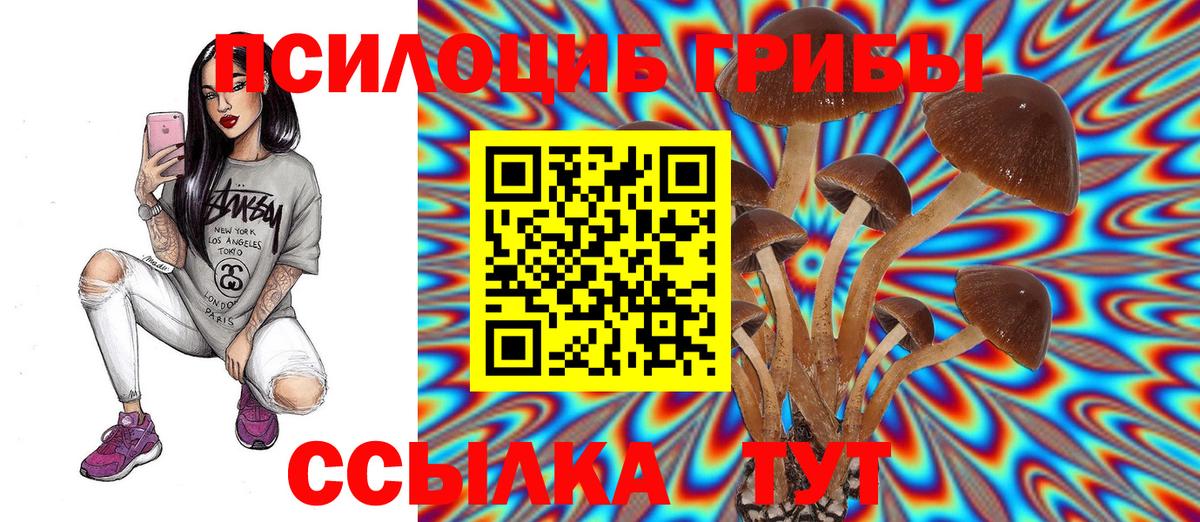 где можно купить   Галлюциногенные грибы мицелий  Вход с VPN  Усть-Джегута 
